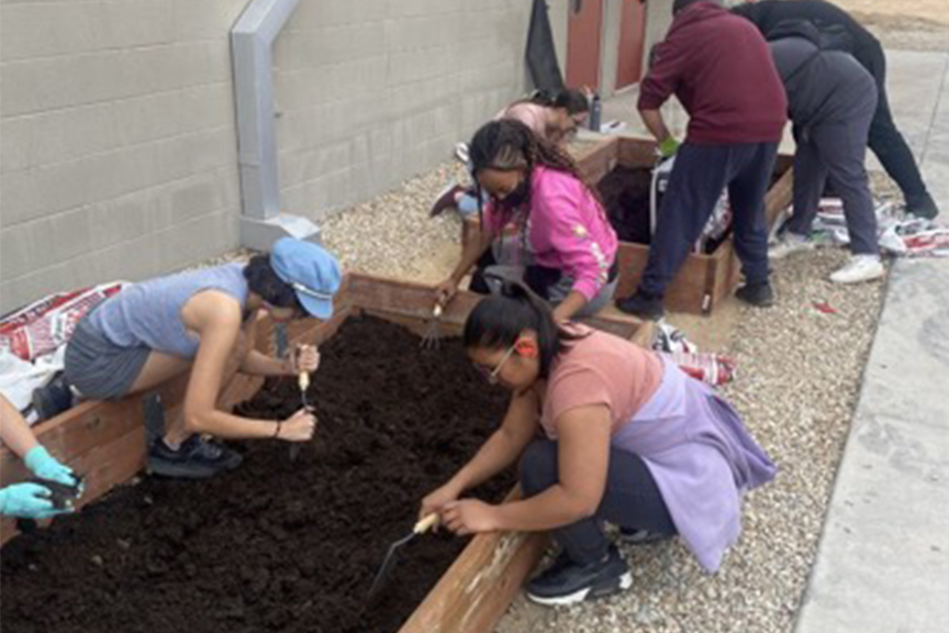 Students outside working in garden beds