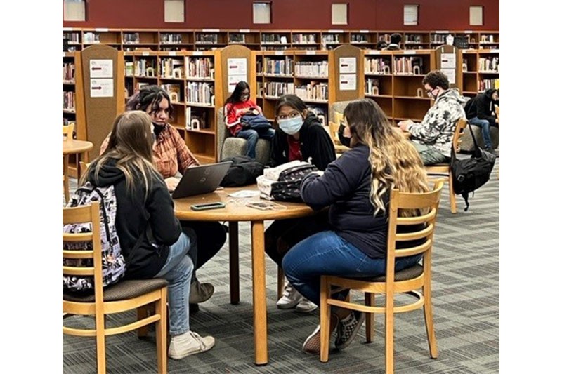 Students sitting together in the library